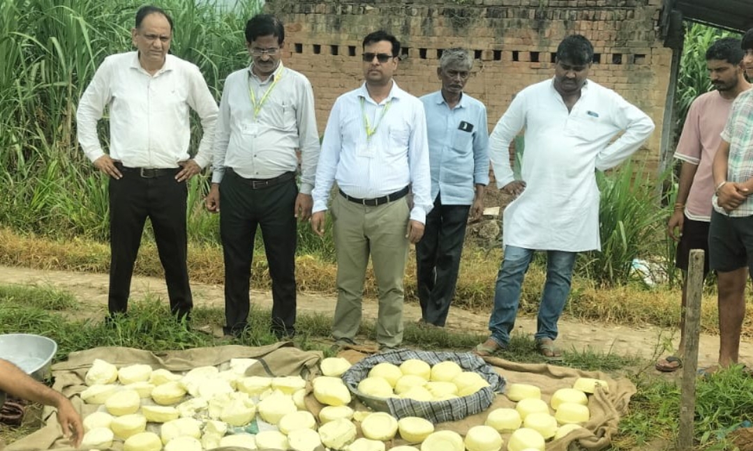 खाद्य सुरक्षा विभाग का बड़ा एक्शन :4,100 किलो असुरक्षित खोया व पनीर नष्ट