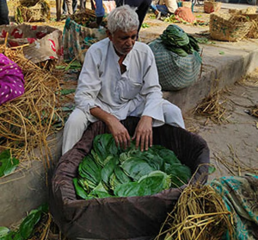 पतन के मुहाने उर्वरक